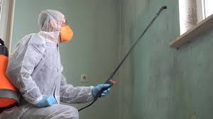 Professional Mold Remediation in Belen, NM